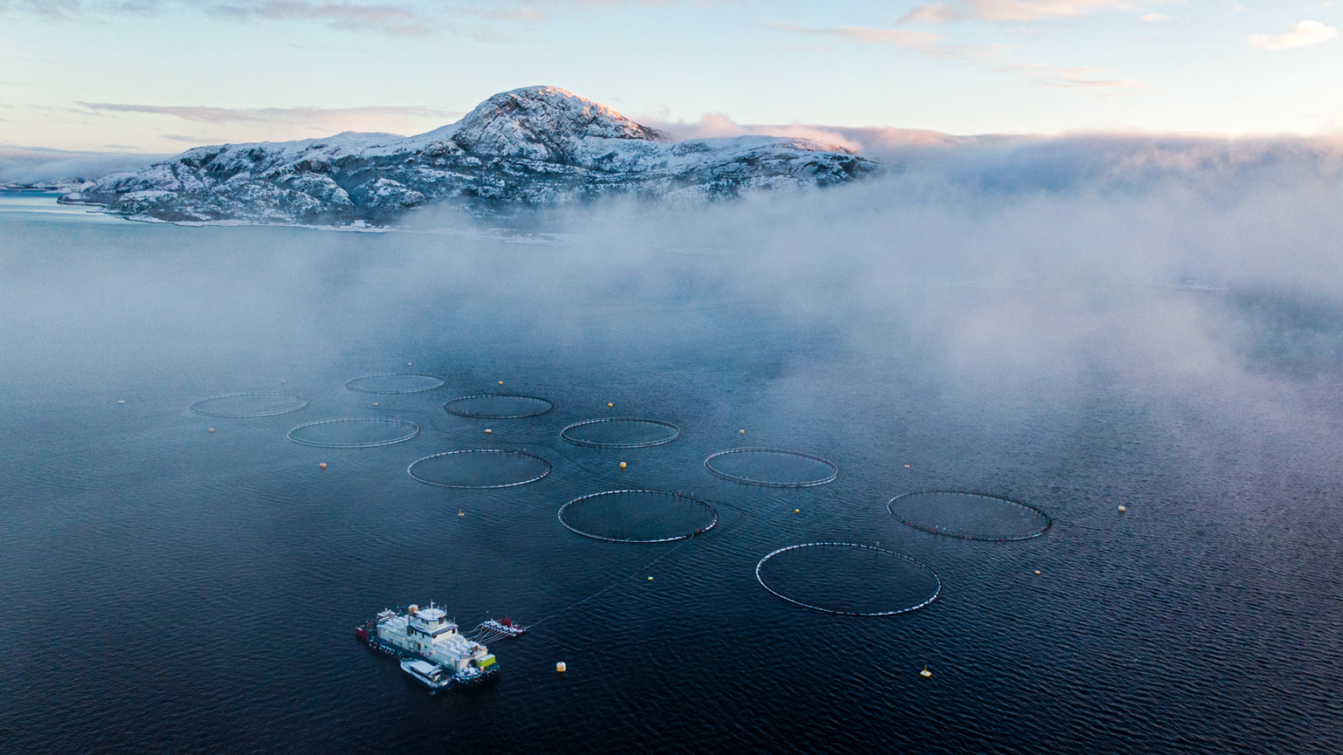 Dronebilde av havlandskap med mærer, fiskebåt og fjell i bakgrunn