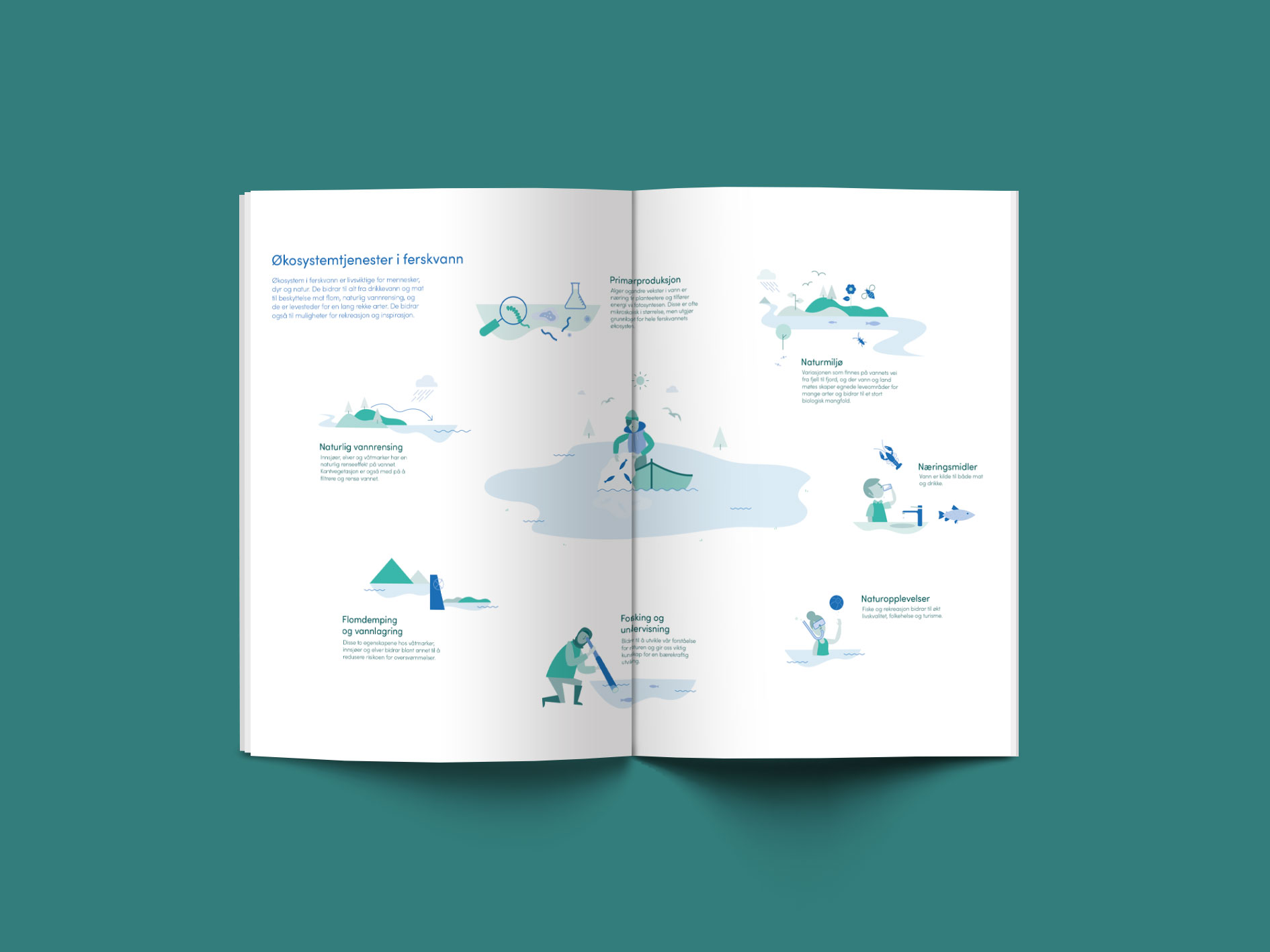 Oppslag i brosjyre som viser infografikk om økosystemer i ferskvann