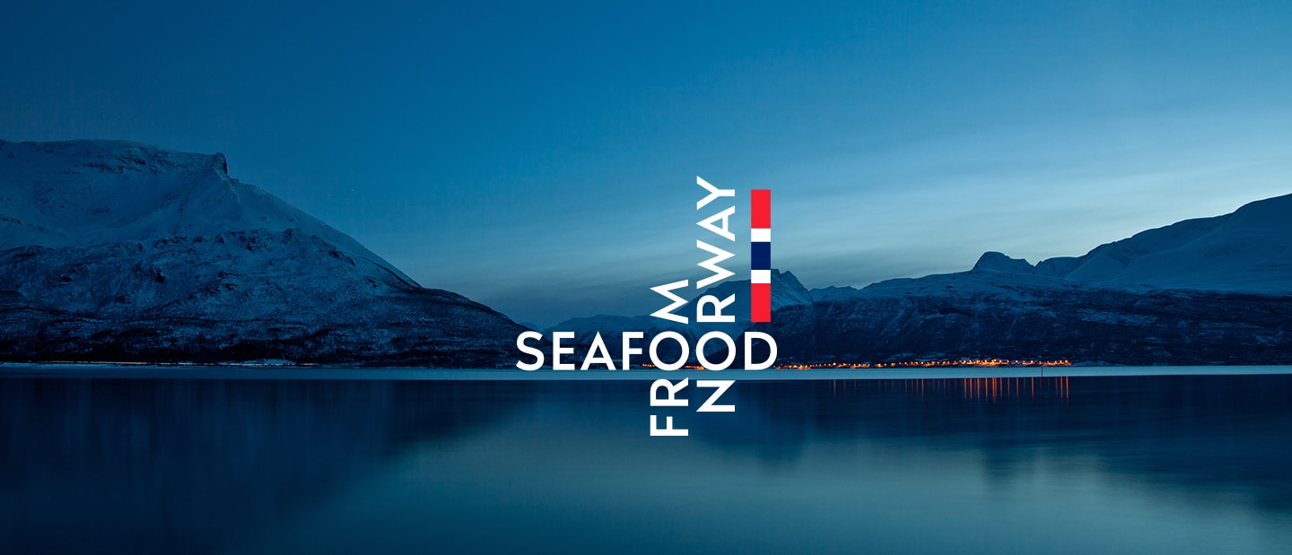 Foto av norsk natur med hav som møter fjell, i kontrastfylte blåtoner. Oppe fotoet ligger logoen til Seafood From Norway.