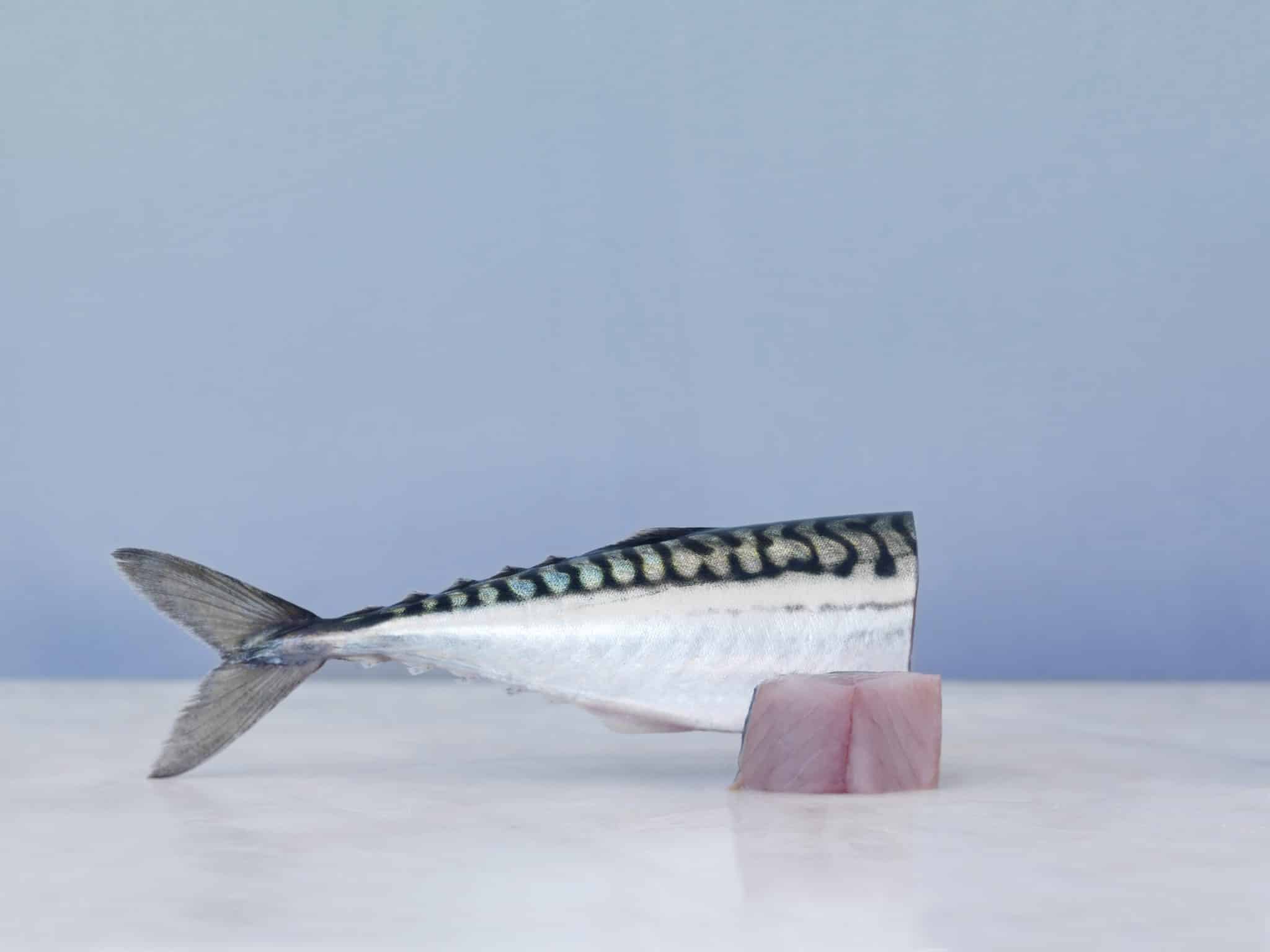 Foto av en halv fisk. Det er halepartiet og et stykke rått fiskekjøtt som er satt sammen som et stilleben på et grått bord.